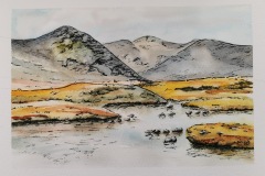 20240810_Aquarell_doris-krueger