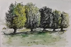 20241019_1_Aquarell_doris-krueger