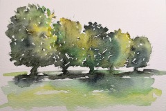 20241019_2_Aquarell_doris-krueger
