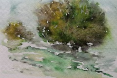 20241020_Aquarell_doris-krueger