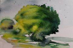 20241021_Aquarell_doris-krueger