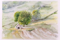 20250716_Aquarell_doris-krueger