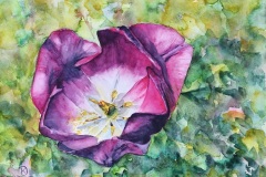 20260419_Aquarell_doris-krueger