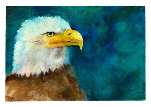 2025-Doris-Krueger_Adler
