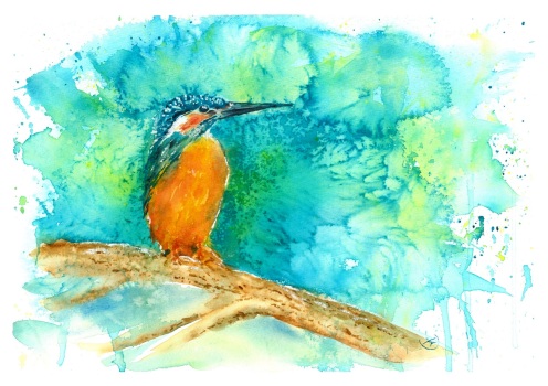 2025-Doris-Krueger_Eisvogel_2