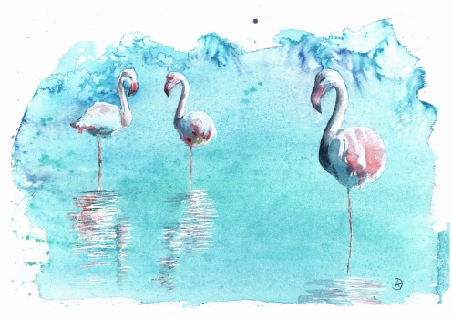 2025-Doris-Krueger_Flamingos