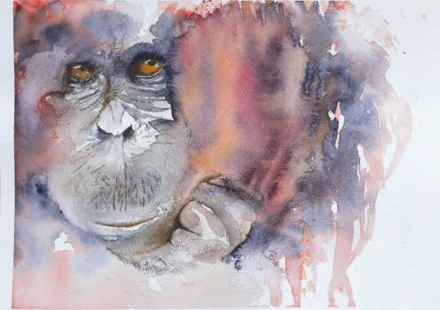 2025-Doris-Krueger_OrangUtan-1a