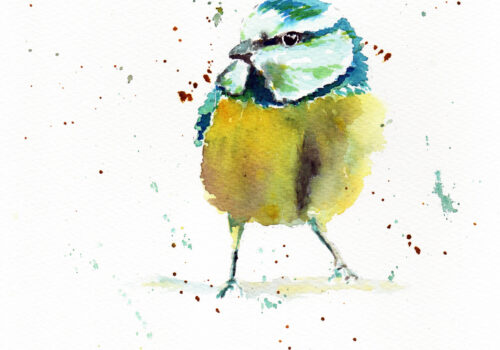 20240105-AquarellBlaumeise