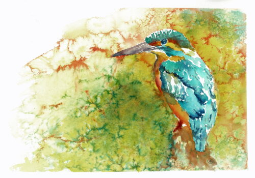 Aquarell Eisvogel von Doris Krüger