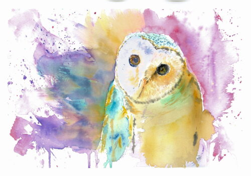 Aquarell Eule von Doris Krüger