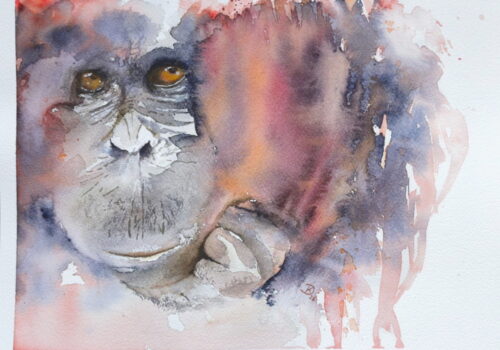 Aquarell Orang Utan von Doris Krüger