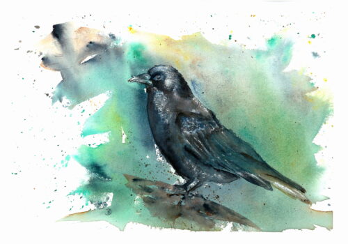 Aquarell Rabe von Doris Krüger
