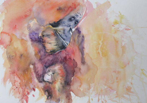 Aquarell Orang Utan von Doris Krüger
